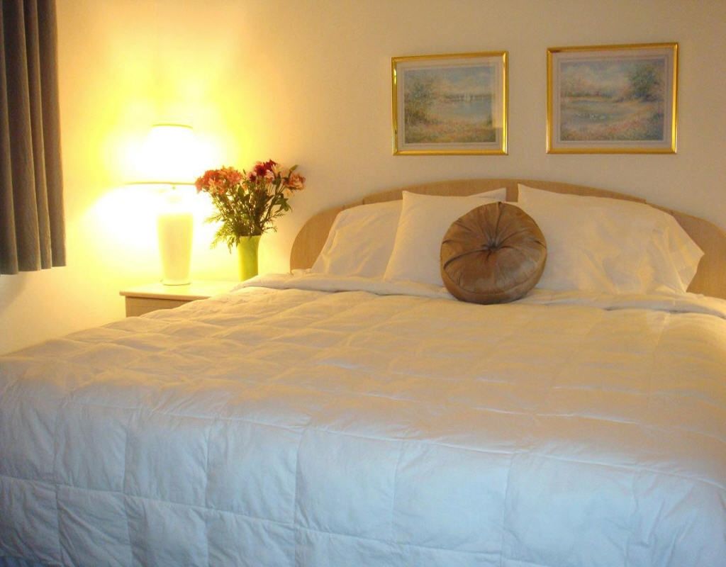 Americas Best Value Inn & Suites - Bluffton Rum bild